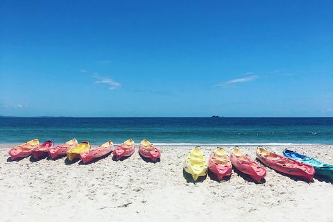 Kayaking With Dolphins In Byron Bay Guided Tour - Accommodation Port Macquarie 1