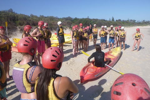 Kayaking With Dolphins In Byron Bay Guided Tour - Accommodation Port Macquarie 2