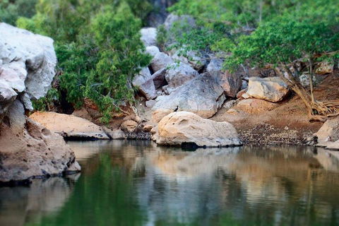 Windjana Gorge And Tunnel Creek 4WD Tour From Broome - Accommodation Port Macquarie 5