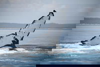 Book Viator Accommodation Vacations Accommodation Port Macquarie Accommodation Port Macquarie