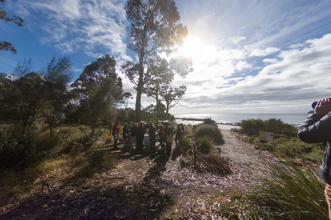 Bruny Island Day Tour, Includes Lunch And Exclusive Lighthouse Tour - Accommodation Port Macquarie 5