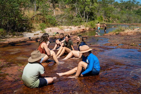 Litchfield National Park Waterfalls And Wildlife Tour From Darwin - Accommodation Port Macquarie 1