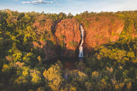 Litchfield National Park Waterfalls And Wildlife Tour From Darwin - Accommodation Port Macquarie 2