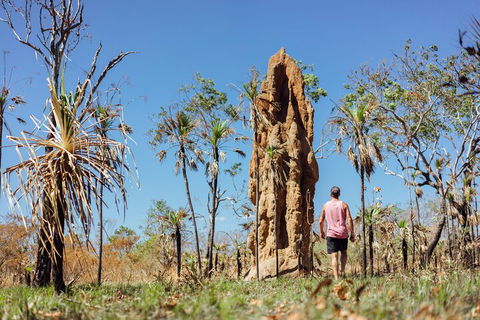 Litchfield National Park Waterfalls And Wildlife Tour From Darwin - Accommodation Port Macquarie 4