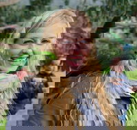 Great Ocean Road Reverse Itinerary with 12 Apostles from Melbourne - Accommodation Port Macquarie