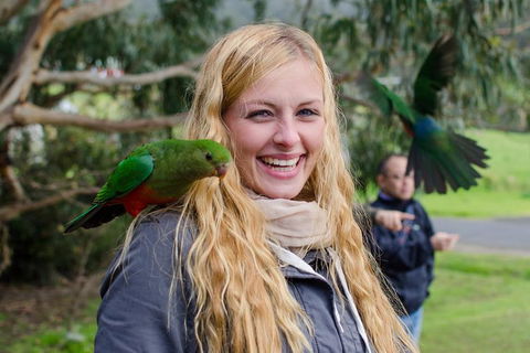 Great Ocean Road Reverse Itinerary With 12 Apostles From Melbourne - Accommodation Port Macquarie 0