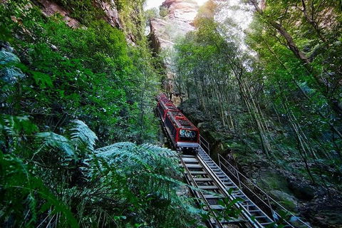 Blue Mountains Private Tour With Kangaroos & Koala Encounter - Accommodation Port Macquarie 1