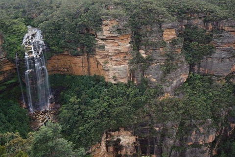 Blue Mountains Private Tour With Kangaroos & Koala Encounter - Accommodation Port Macquarie 2