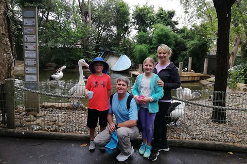 Blue Mountains Private Tour With Kangaroos & Koala Encounter - Accommodation Port Macquarie 4