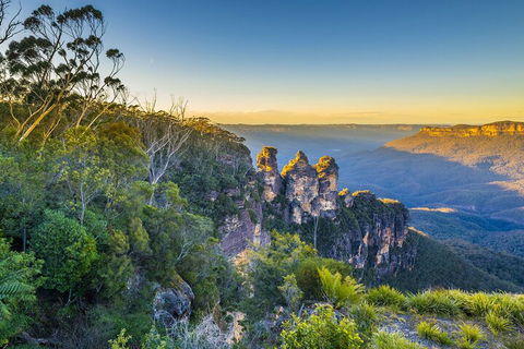Blue Mountains Private Tour With Kangaroos & Koala Encounter - Accommodation Port Macquarie 5