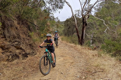 Mount Lofty Descent Bike Tour From Adelaide - Accommodation Port Macquarie 0