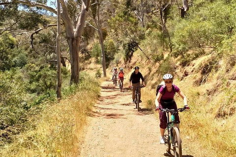 Mount Lofty Descent Bike Tour From Adelaide - Accommodation Port Macquarie 3