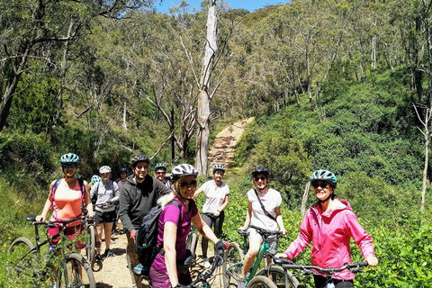 Mount Lofty Descent Bike Tour From Adelaide - Accommodation Port Macquarie 5