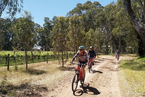 McLaren Vale Wine Tour By Bike - Accommodation Port Macquarie 1