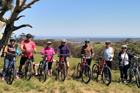 McLaren Vale Wine Tour By Bike - Accommodation Port Macquarie 2