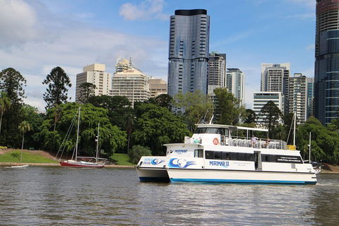Lone Pine Koala Sanctuary Admission With Brisbane River Cruise - Accommodation Port Macquarie 2