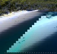 All-Inclusive Fraser Island Day Tour - Accommodation Port Macquarie
