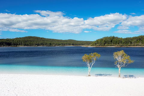 All-Inclusive Fraser Island Day Tour - Accommodation Port Macquarie 3