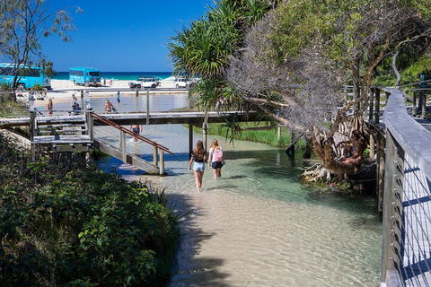 All-Inclusive Fraser Island Day Tour - Accommodation Port Macquarie 4
