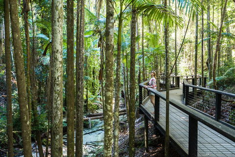 All-Inclusive Fraser Island Day Tour - Accommodation Port Macquarie 5