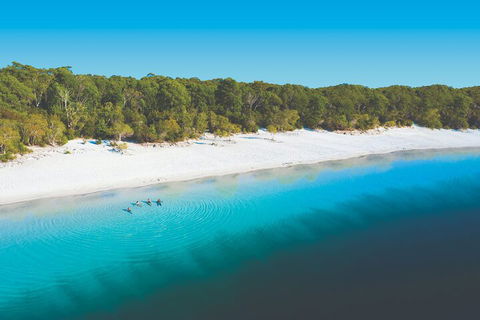 Lake McKenzie Full-Day Tour With Lunch From Hervey Bay - Accommodation Port Macquarie 4