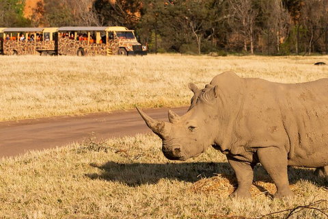 Sunset Safari At Werribee Open Range Zoo - Accommodation Port Macquarie 1