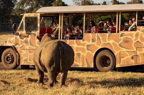 Sunset Safari At Werribee Open Range Zoo - Accommodation Port Macquarie 5