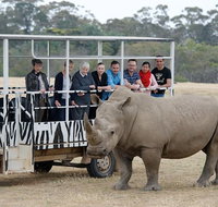 Off-Road Safari at Werribee Open Range Zoo - Accommodation Port Macquarie