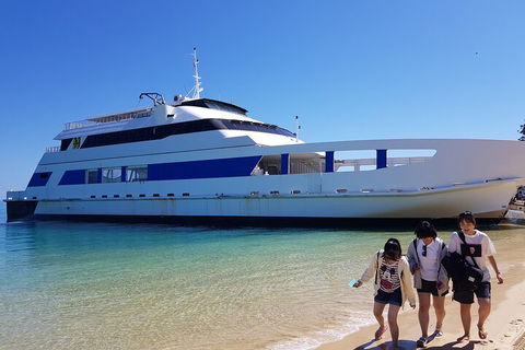 Moreton Island Day Trip (Kayak, Snorkel & Sandboard) Frm Brisbane Or Gold Coast - Accommodation Port Macquarie 0