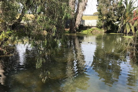 Perth East Foreshore And City Segway Tour - Accommodation Port Macquarie 1