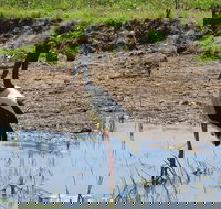 Darwin to Kakadu Day Trip by Air Including Yellow Water Cruise - Accommodation Port Macquarie
