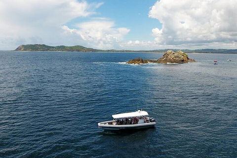 Julian Rocks Byron Bay Cruise - Accommodation Port Macquarie 5