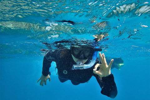 3 Day Whitsundays Sailing And Diving Adventure: Kiana - Accommodation Port Macquarie 0