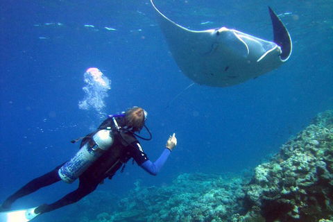 3 Day Whitsundays Sailing And Diving Adventure: Kiana - Accommodation Port Macquarie 3