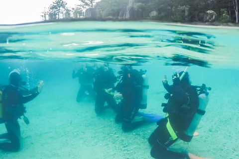 3 Day Whitsundays Sailing And Diving Adventure: Kiana - Accommodation Port Macquarie 4