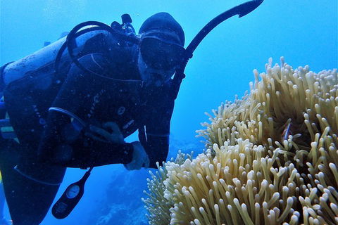 3 Day Whitsundays Sailing And Diving Adventure: Kiana - Accommodation Port Macquarie 5