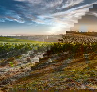 Perth to Margaret River Wine Tour - 2 Day Premium Boutique Wine Tour Experience - Accommodation Port Macquarie