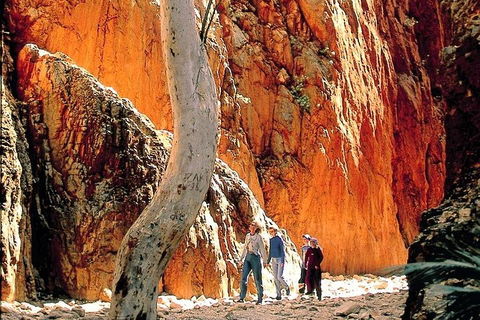 West MacDonnell Ranges Day Trip From Alice Springs - Accommodation Port Macquarie 3