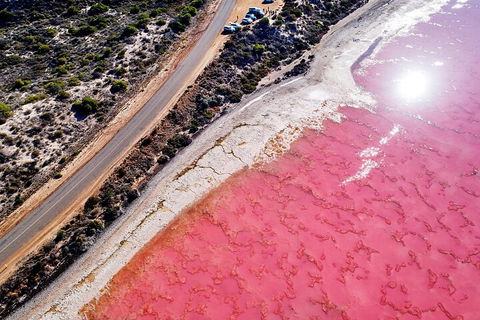 7-Day Exmouth Explorer Via Pinnacles Monkey Mia Ningaloo Reef Returning To Perth - Accommodation Port Macquarie 0