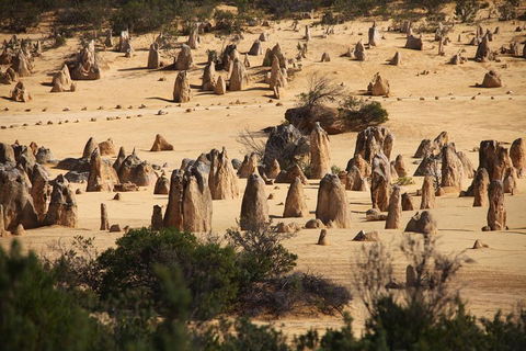 Pinnacles Sunset Dinner And Stargazing Experience A Small Group Tour - Accommodation Port Macquarie 0