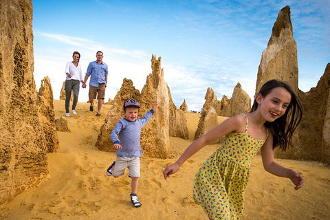 Pinnacles Sunset Dinner And Stargazing Experience A Small Group Tour - Accommodation Port Macquarie 3