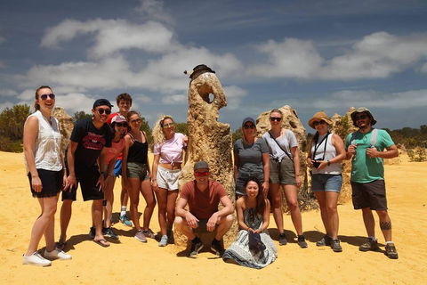 Pinnacles Sunset Dinner And Stargazing Experience A Small Group Tour - Accommodation Port Macquarie 4