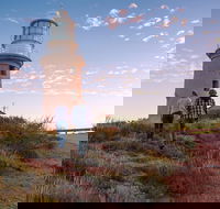 6-Day Coral Coaster from Perth to Exmouth One-Way via Monkey Mia Ningaloo Reef - Accommodation Port Macquarie