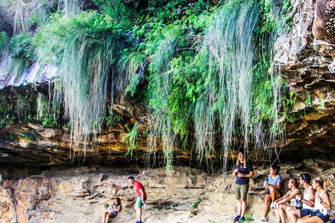 Sunset Blue Mountains Wilderness & Wildlife Tour Without The Crowds - Accommodation Port Macquarie 1