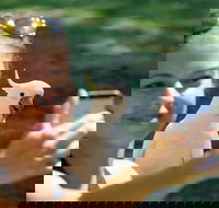 2-Day Melbourne to Adelaide Tour Great Ocean Road and Grampians One Way Trip - Accommodation Port Macquarie