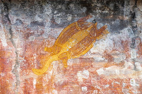 Kakadu Wilderness Escape - Top End Day Tour From Darwin - Accommodation Port Macquarie 2