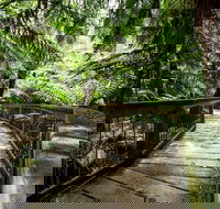 12 Apostles Eco-Friendly Great Ocean Road Iconic Adventure from Melbourne - Accommodation Port Macquarie