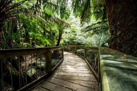 12 Apostles Eco-Friendly Great Ocean Road Iconic Adventure From Melbourne - Accommodation Port Macquarie 0