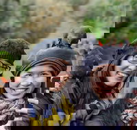 Small-Group Great Ocean Road and 12 Apostles Full-Day Tour from Melbourne - Accommodation Port Macquarie