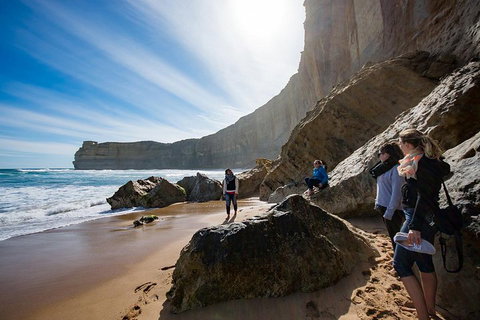 Small-Group Great Ocean Road And 12 Apostles Full-Day Tour From Melbourne - Accommodation Port Macquarie 1